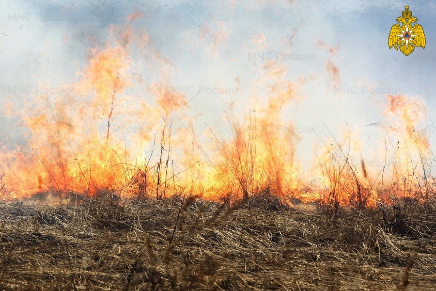 Ульяновские пожарные за сутки выезжали на тушение сухой травы 4 раза