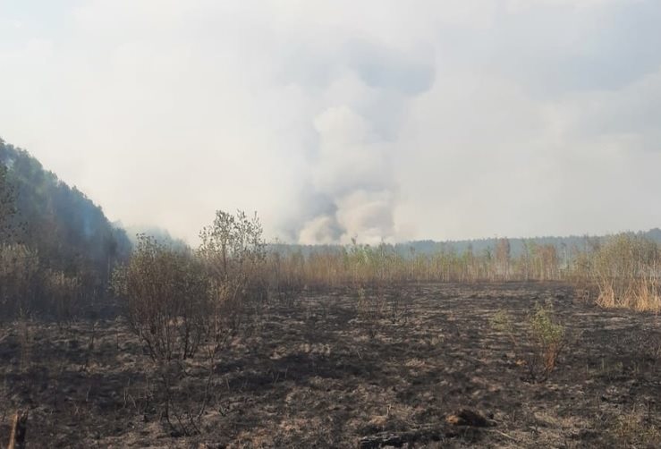 В субботу в Ульяновской области тушили два лесных пожара