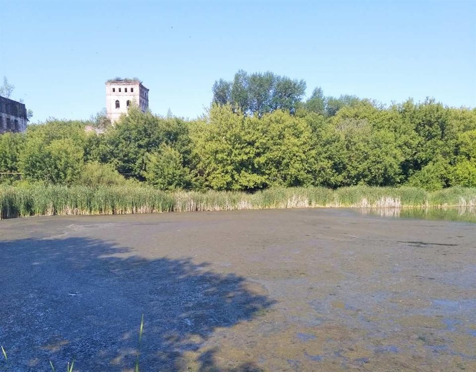 Закрытый в Мулловке завод продолжает сбрасывать сточные воды в реку Сосновку