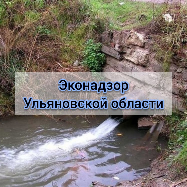 В Инзе оштрафовали местное предприятие за незаконный сброс сточных вод в ручей