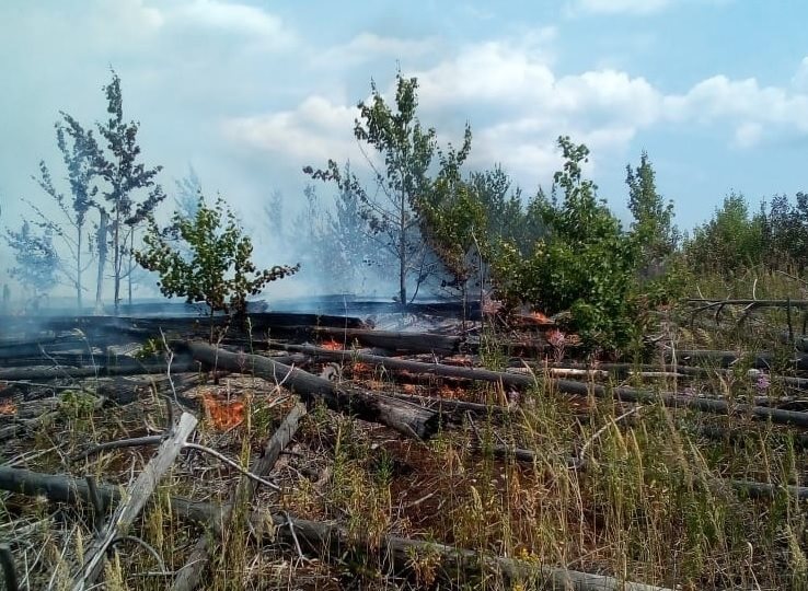 В Тереньгульском лесничестве тушили пожар, возникший из-за грозы