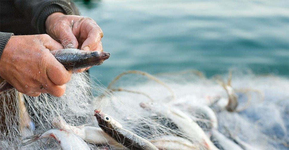 Димитровградцу грозит два года колонии за незаконное рыболовство