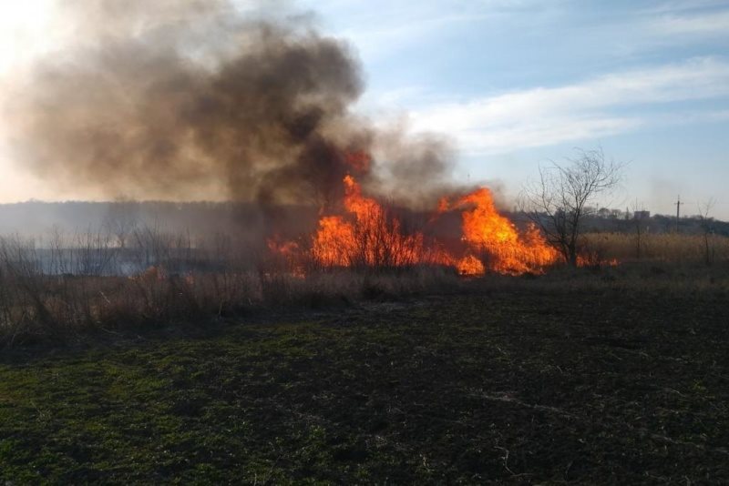 За сутки ульяновские пожарные выезжали на тушение сухой травы 6 раз