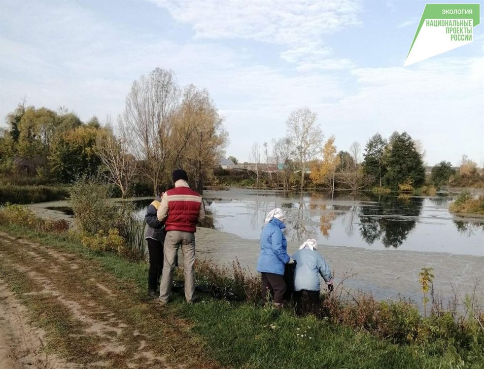 В Мелекесском районе берега трёх прудов и одной реки очистили от мусора