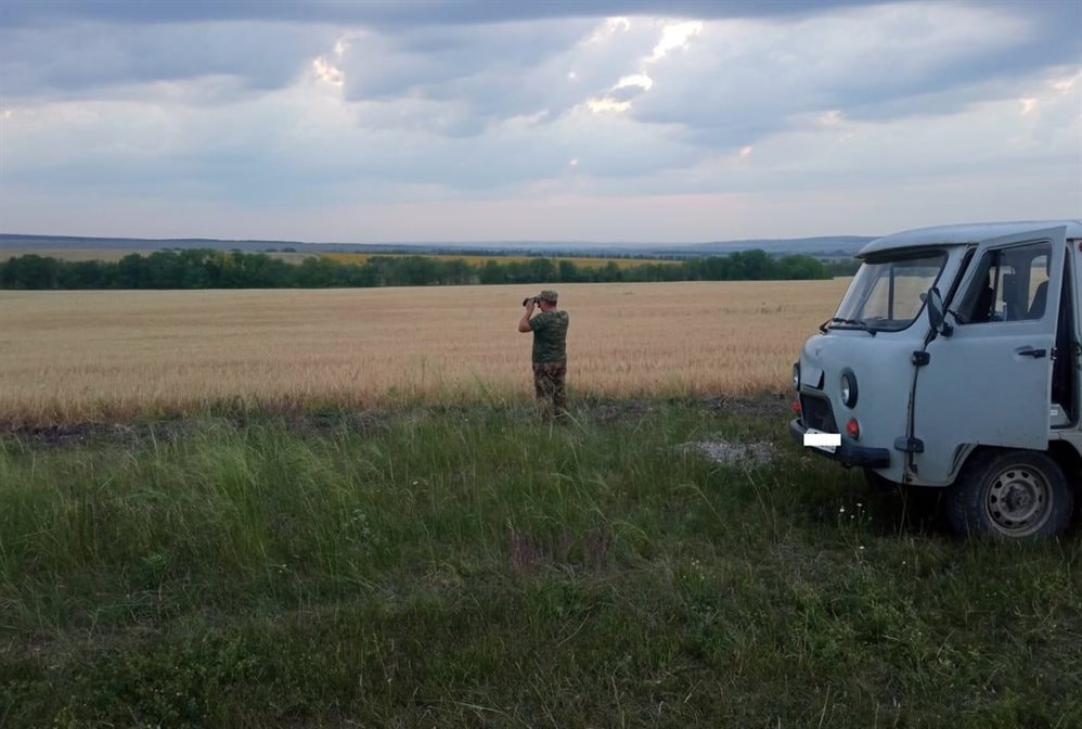 В Ульяновской области проходит охота на сурка