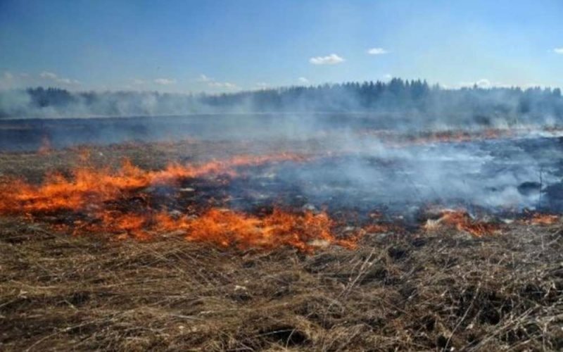 Ульяновские спасатели два раза выезжали на тушение сухой травы
