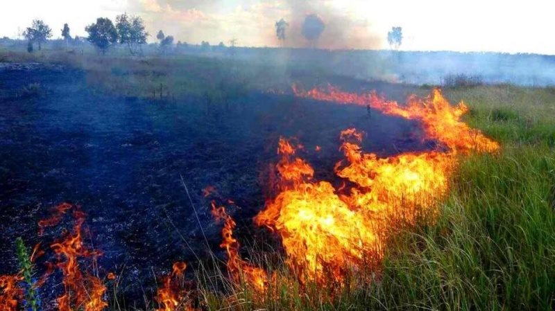 В двух районах региона горела сухая трава. На место выезжали спасатели
