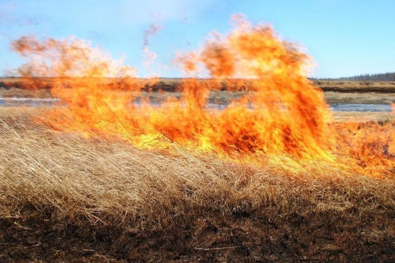 В Ульяновске и четырёх районах области тушили сухую траву