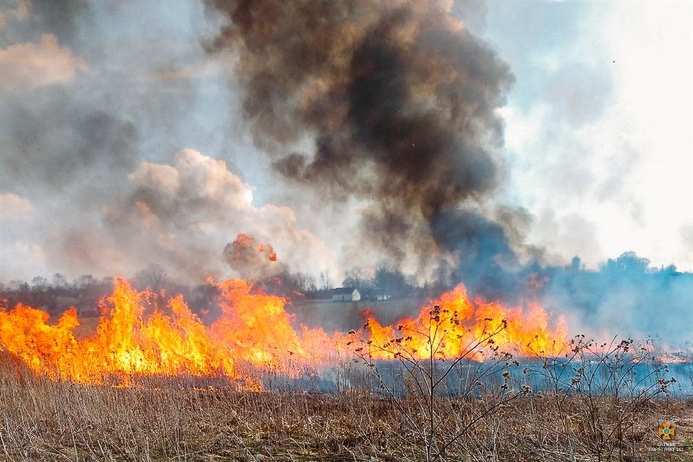 В Новоульяновске горел мусор, в Димитровграде - лес
