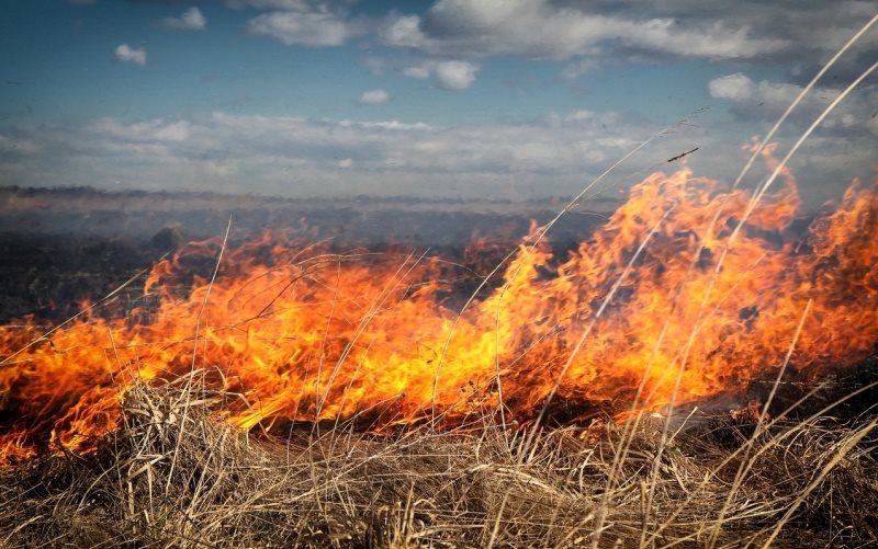В трёх районах Ульяновской области тушили сухую траву