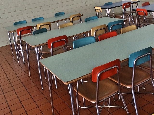 Димитровградским детям предложили обедать в другой школе