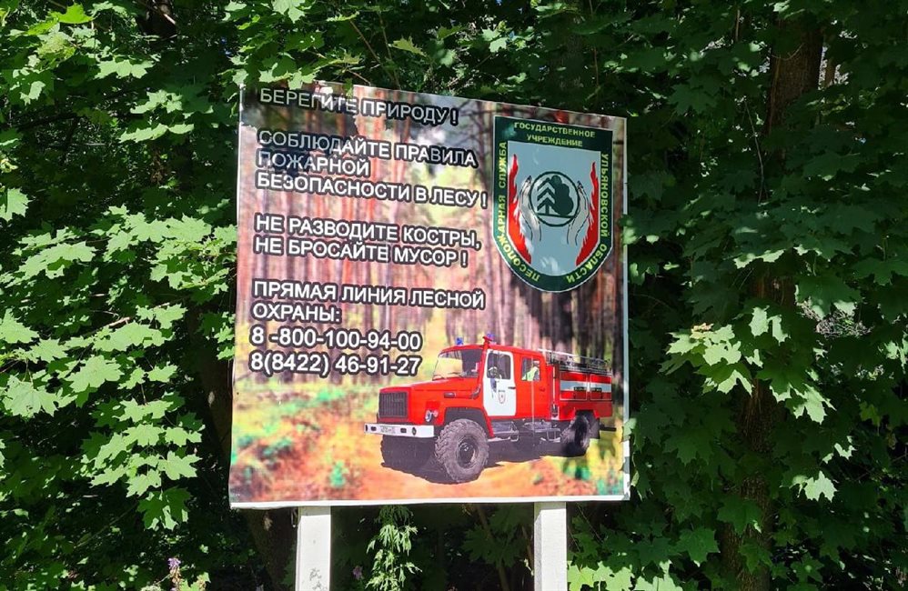 В Ульяновской области ликвидировали 103 лесных пожара