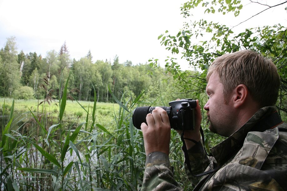 Устройте себе бердвотчинг. Как и где заняться экологическим туризмом в Ульяновской области