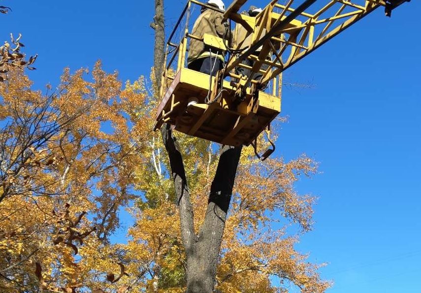 Более полутора сотен аварийных деревьев убрали с территории Ульяновска