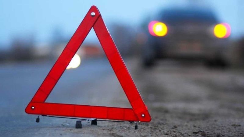 На Димитровградском шоссе иномарка протаранила дерево. Пострадали два человека