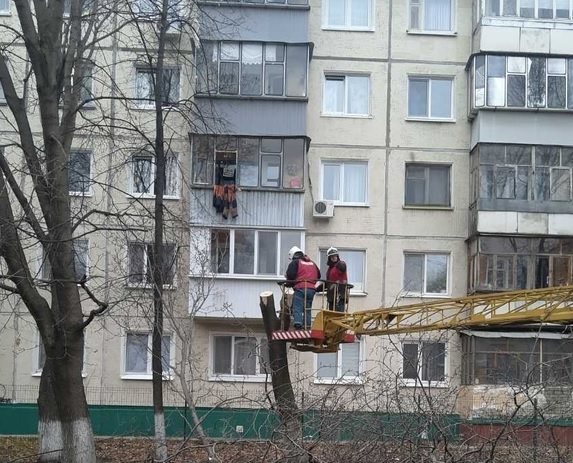 За выходные в Ульяновске снесли 25 аварийных деревьев