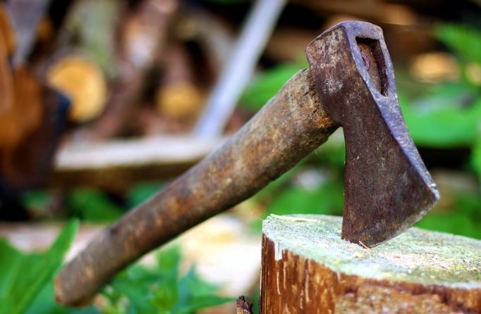 Житель региона срубил 15 деревьев для ремонта дворовых построек