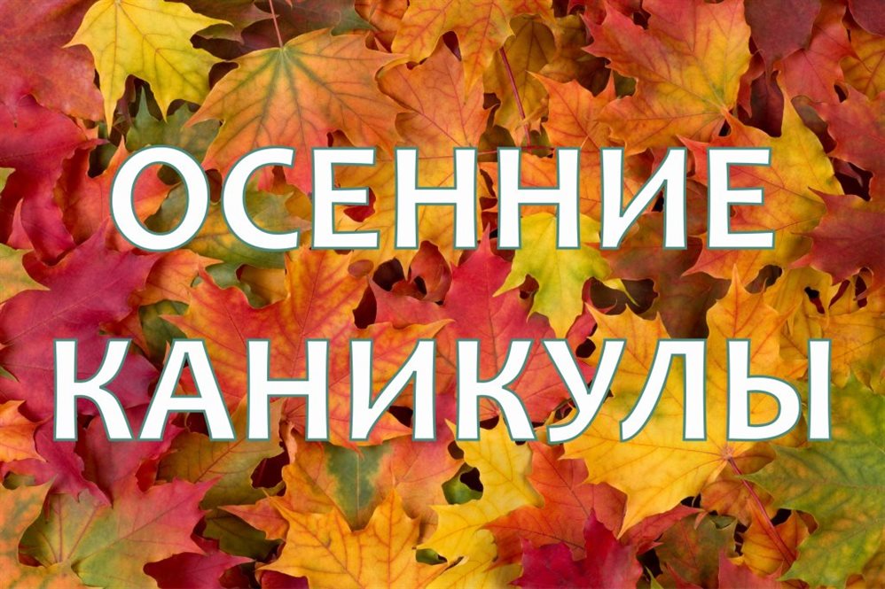 Улправда - В Ульяновской области заканчиваются осенние каникулы. Что делать  школьникам 15 ноября