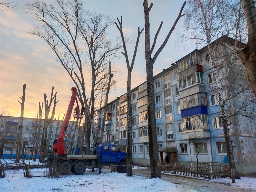 33 аварийных дерева спилили в Ульяновске