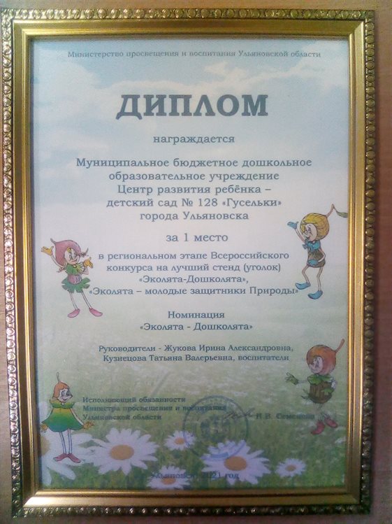 Детский сад №128 Ульяновска стал победителем регионального конкурса «Эколята»