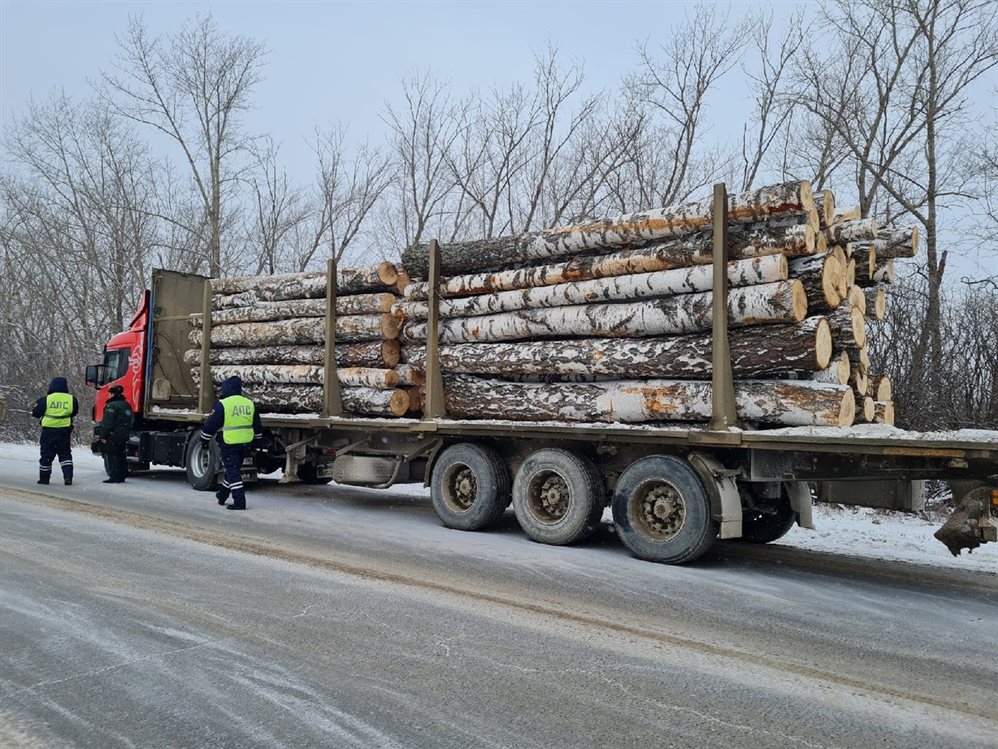 Три грузовика с древесиной проверили в Барышском районе