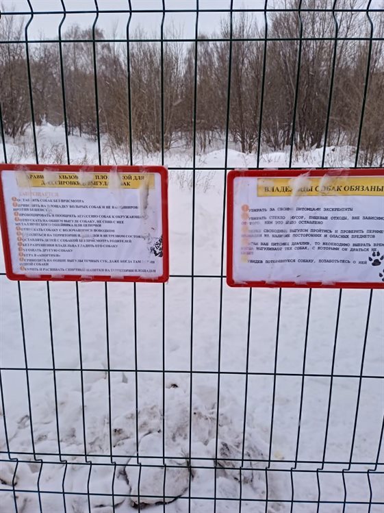 Администрацию Ульяновска с помощью штрафов и угрозы «уголовки» заставили оборудовать в городе две площадки для выгула собак