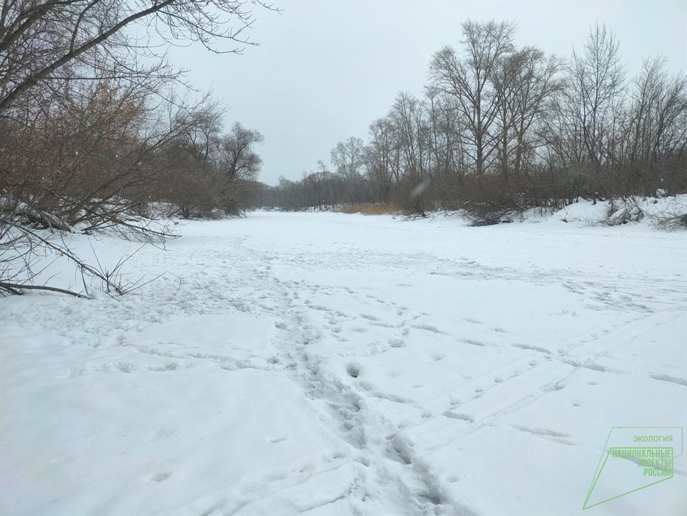 В Ульяновске летом начнётся расчистка первых девяти километров Свияги