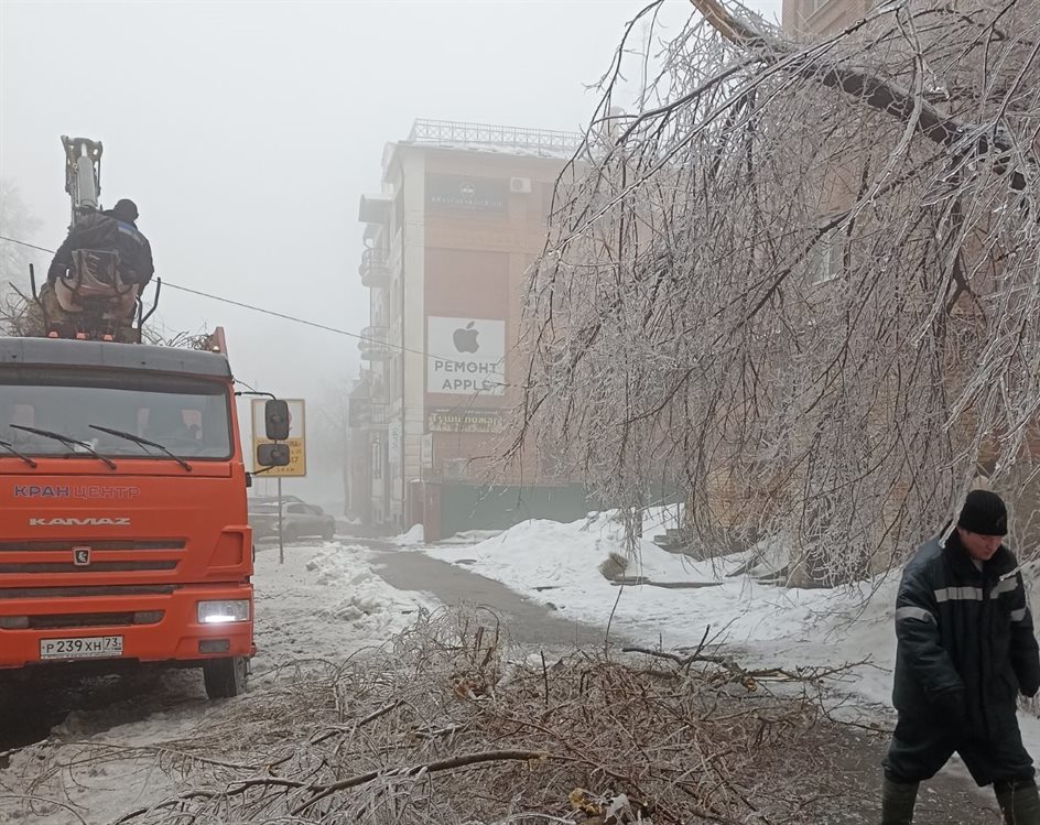 С улиц Ульяновска вывезли 620 кубометров сломанных ледяным дождём веток