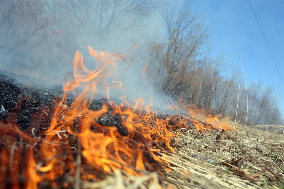 В лесах региона объявлен пожароопасный сезон
