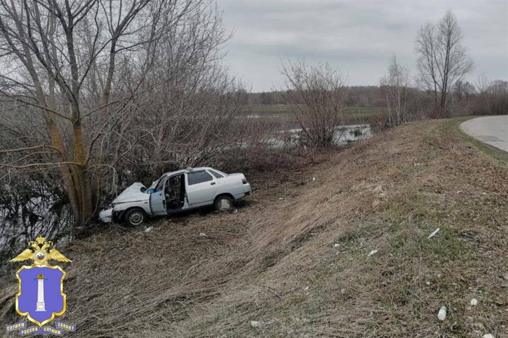 В Мелекесском районе пьяный водитель за рулём ВАЗа влетел в дерево. Пострадала пассажирка