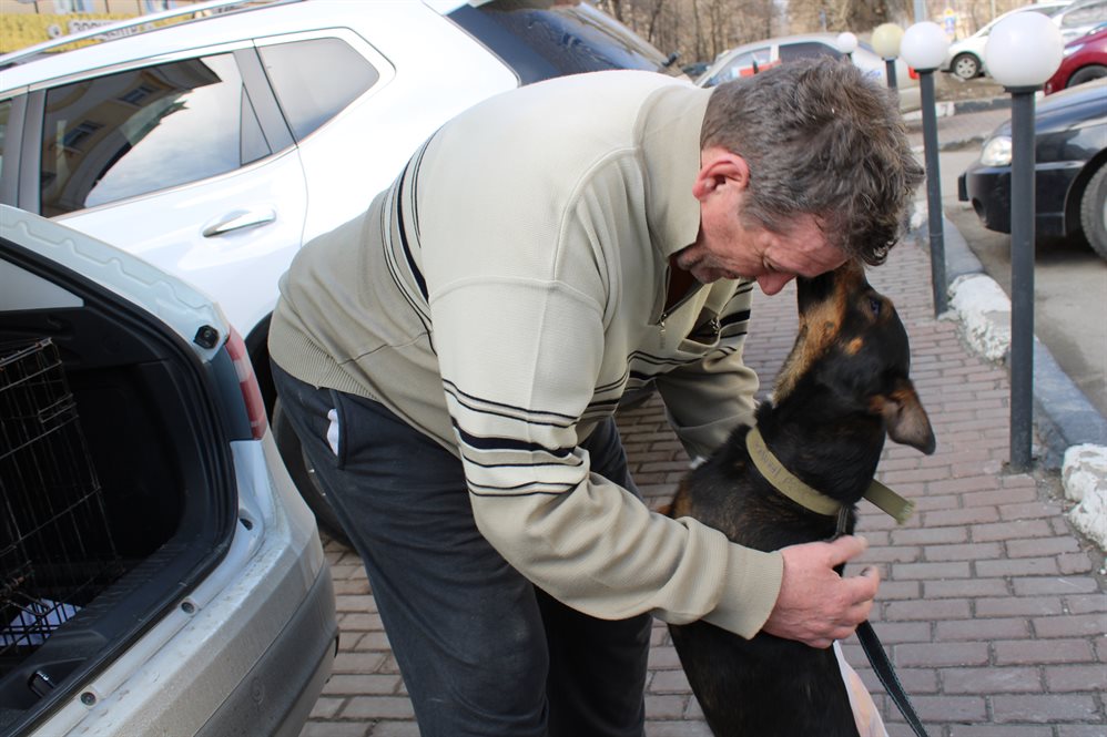 Семья из ДНР в Ульяновске попала в больницу, пес ждал их у ветеринаров