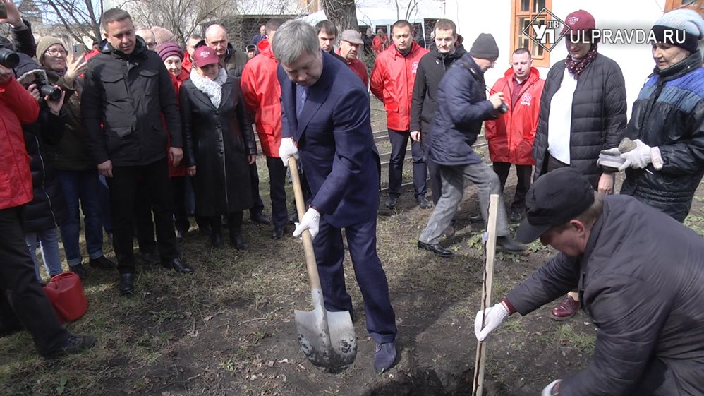 Алексей Русских посадил дерево во дворе дома Ульяновых