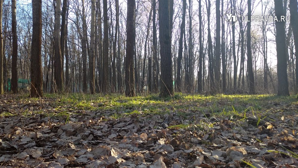 На Пасху в Ульяновской области заметно потеплеет