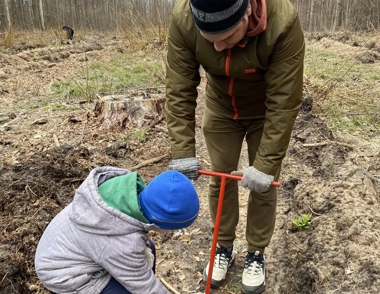 Димитровградские школьники помогли посадить деревья в Мулловском лесничестве