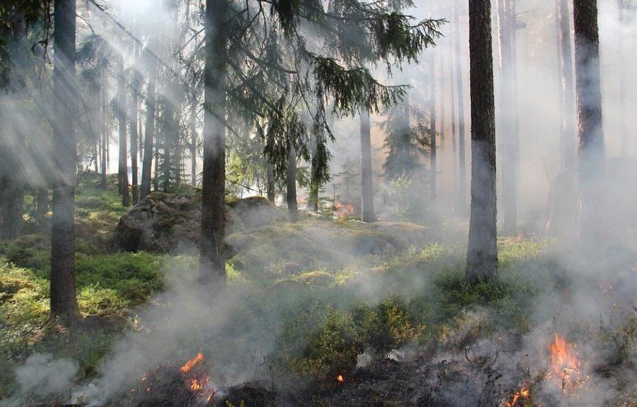 Начальник МЧС по Ульяновской области предупредил о мерах пожарной безопасности
