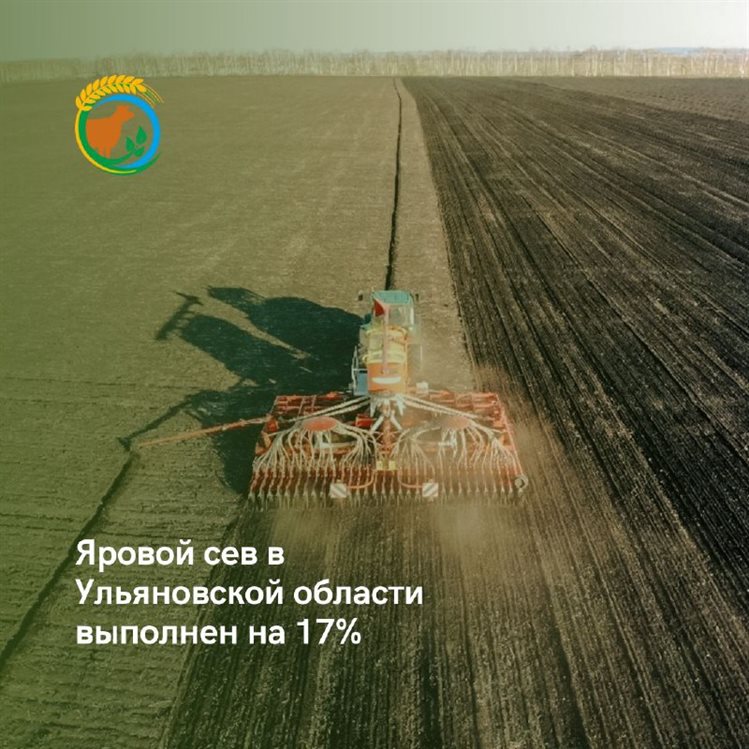 В Ульяновской области активно высаживают пшеницу, ячмень и горох