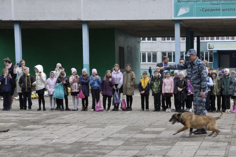 Ульяновских школьников познакомили с собаками кинологов