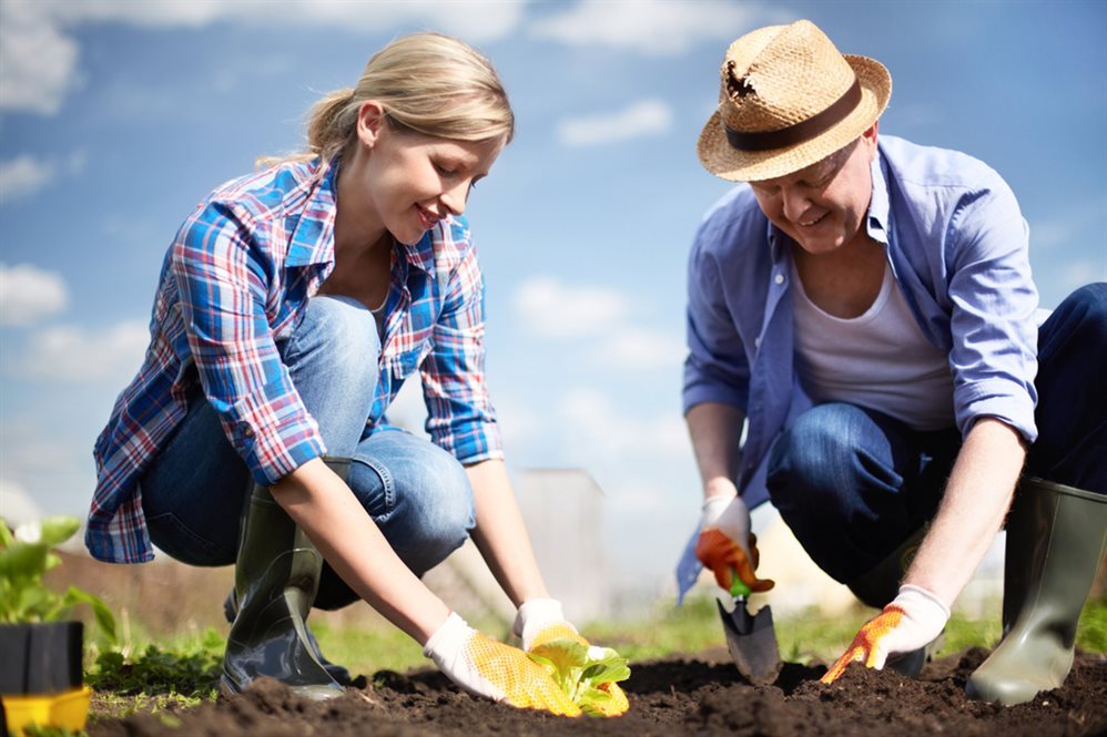 Меры предосторожности при садово-огородных работах