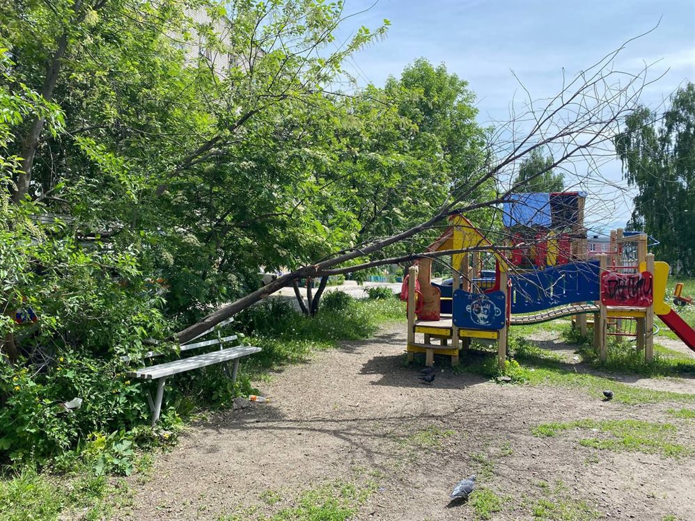 В Ленинском районе Ульяновска на детскую площадку упало дерево