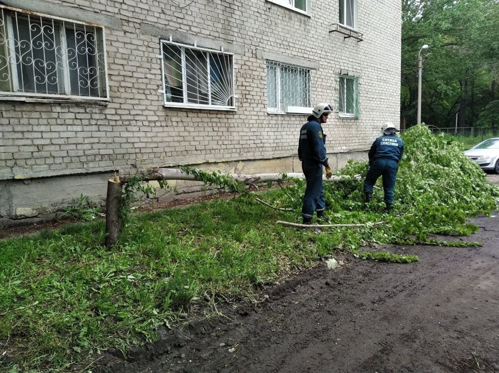 Ульяновские спасатели распилили аварийное дерево