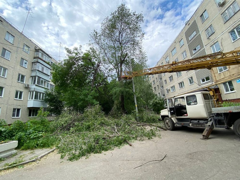 Ульяновские спасатели спилили аварийные ветки на улице Минаева
