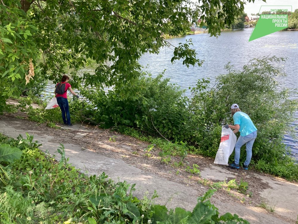 В Димитровграде очистили от мусора берег пруда