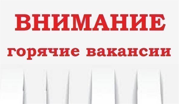 Зарплаты – от 35000 до 55554 рублей в месяц. В Ульяновской области есть 30 горячих вакансий