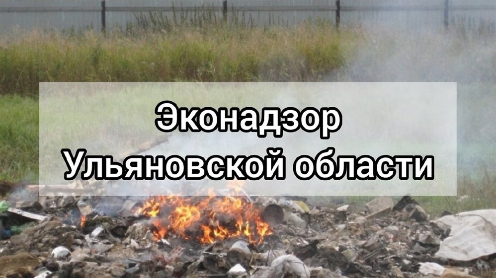 Жителя Барыша наказали за сжигание отходов