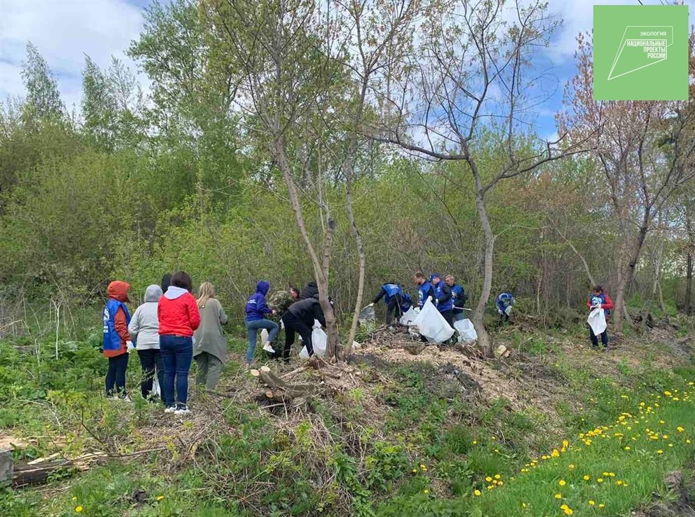 Ульяновцы очистили берега водоемов от мусора