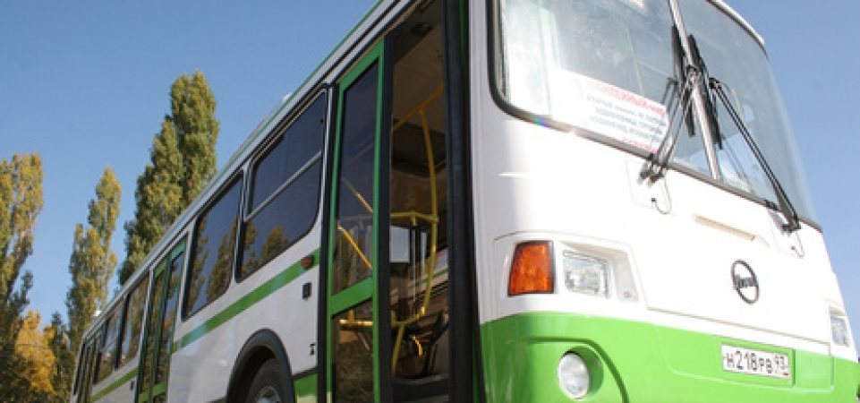 Между Ульяновском и Сенгилеем запустят дополнительные автобусы