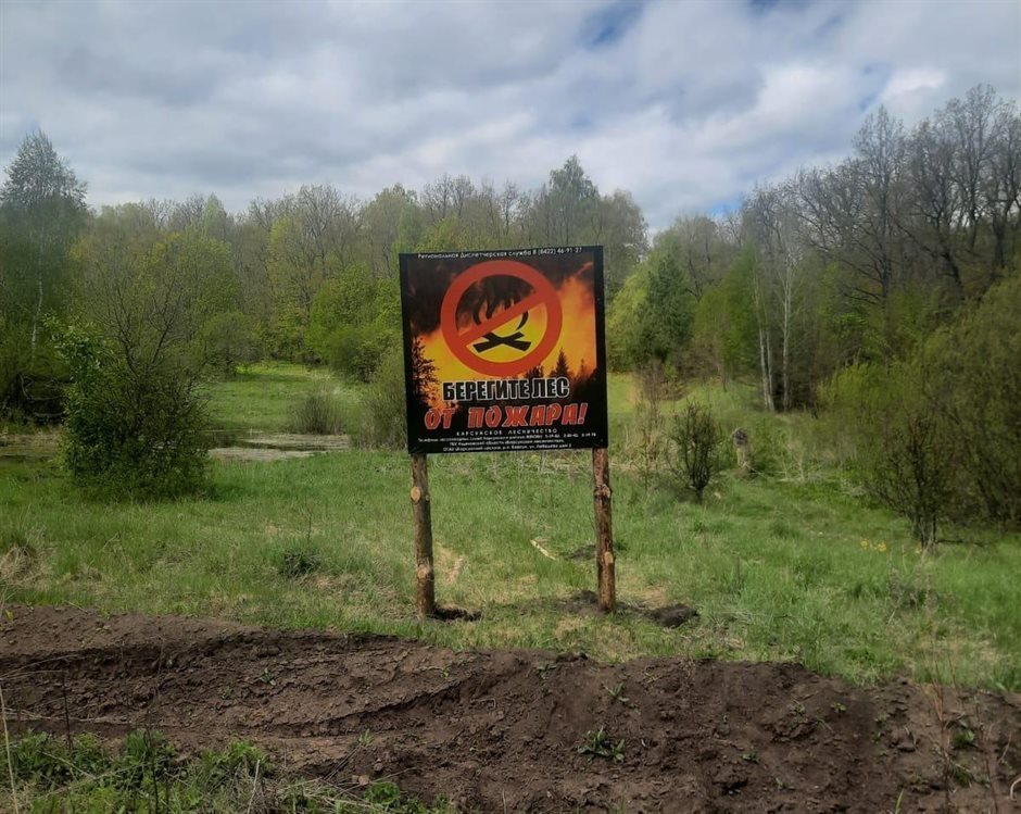 МЧС: в Ульяновской области ожидается высокая пожарная опасность