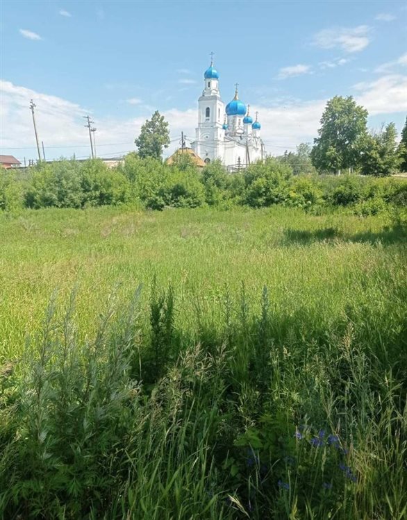 В этом году в Ульяновской области восстановят два пруда, два озера и залив