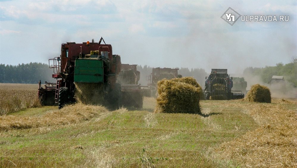Ульяновская область - в числе регионов ПФО с высокими показателями урожайности зерновых