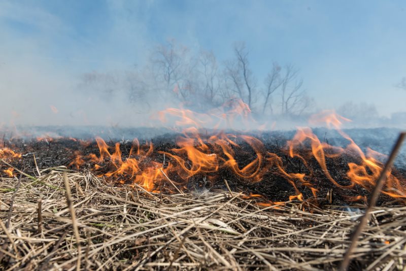 В Барышском районе тушили лесной пожар